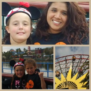 Disney Ferris Wheel