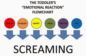 Toddler screaming